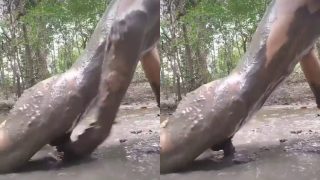 WTF!! Horny Pervert White Boy Fucking A Mud